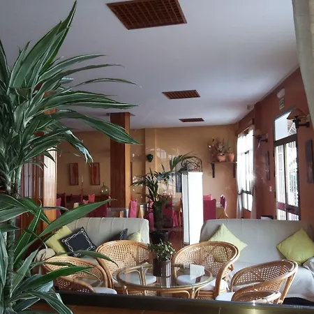 Tres Jotas Conil Отель 2*