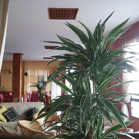 Отель Tres Jotas Conil 2*