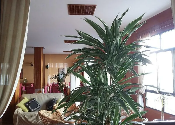 酒店 Tres Jotas Conil 2*